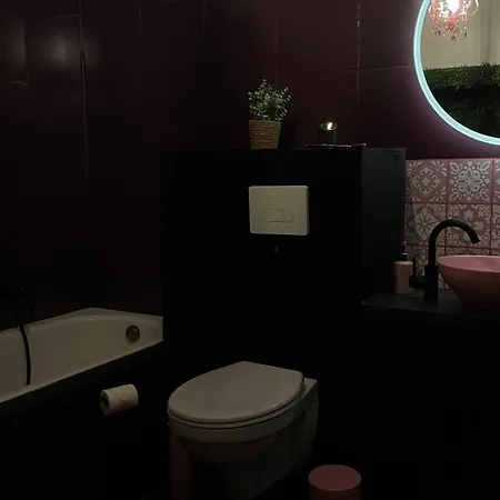 Apartment Mit Whirlpool, Sauna, Pole Dance Und Mehr